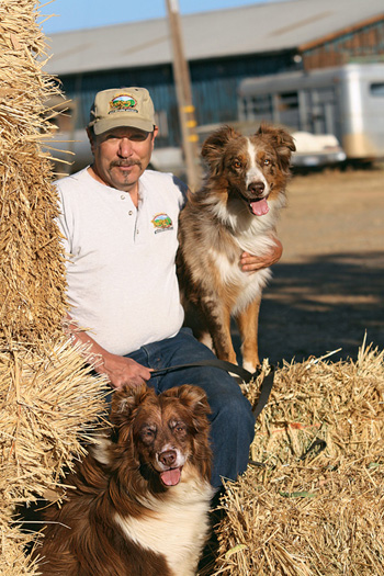 Sal Manna and dogs 